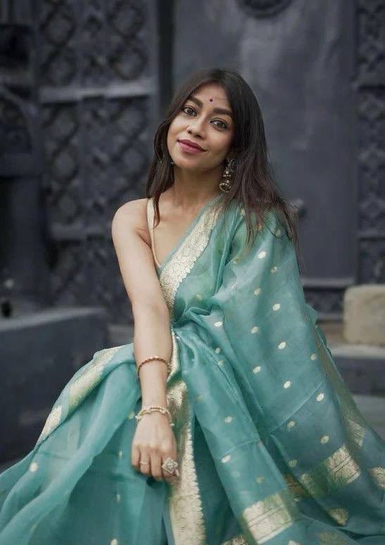 BEAUTIFUL SLUB WEAVING WORK SAREE
