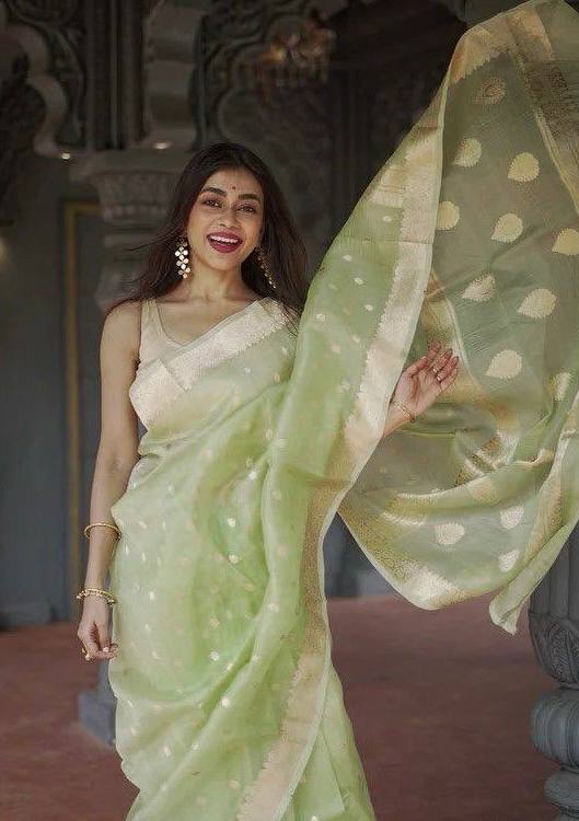 BEAUTIFUL SLUB WEAVING WORK SAREE