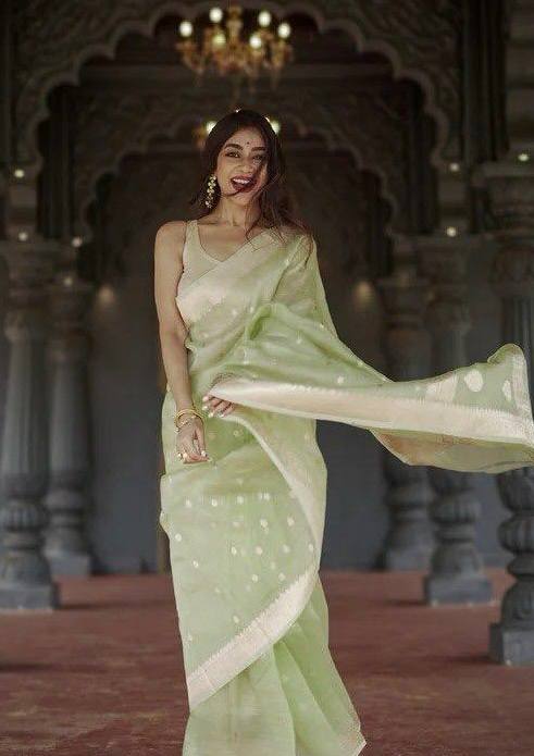 BEAUTIFUL SLUB WEAVING WORK SAREE