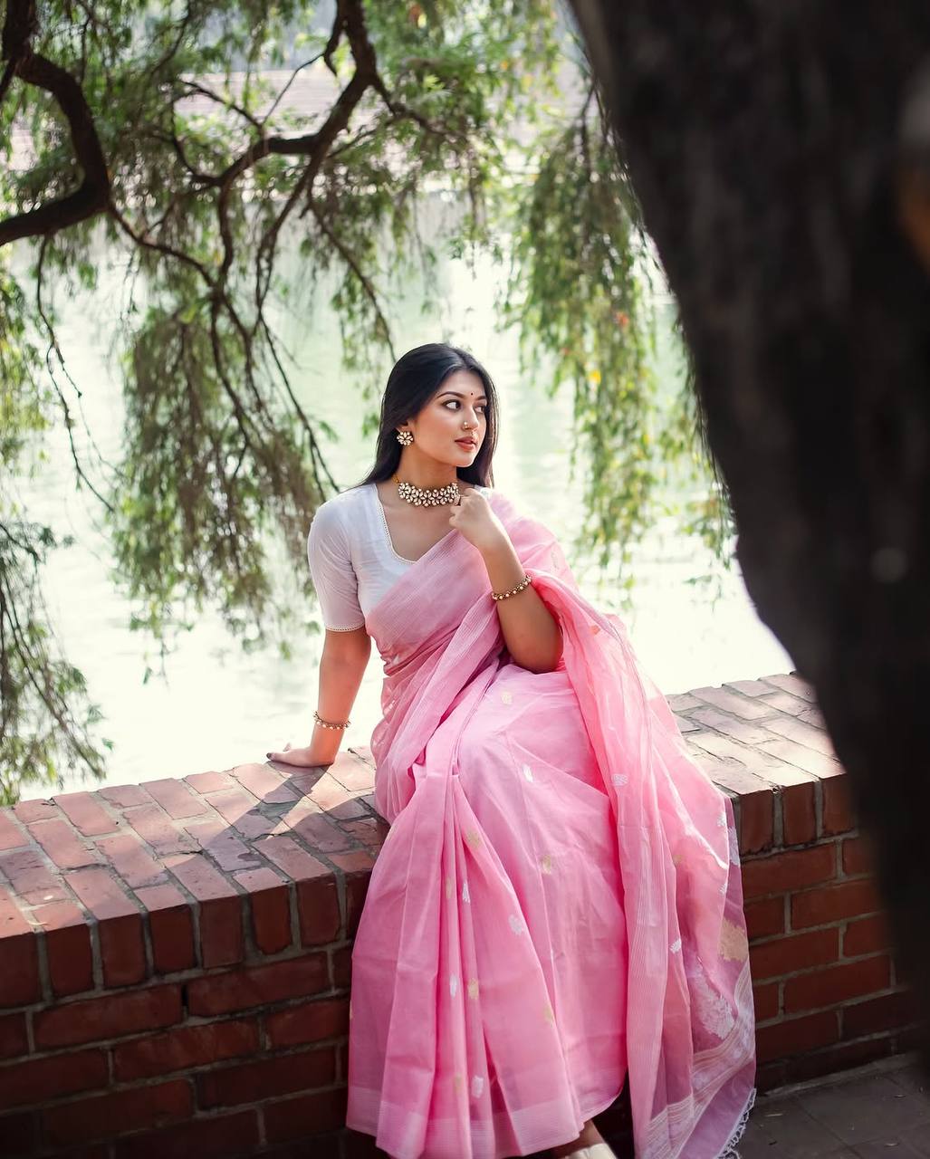 Embellished Zari Silk Blend Handloom Banarasi Saree