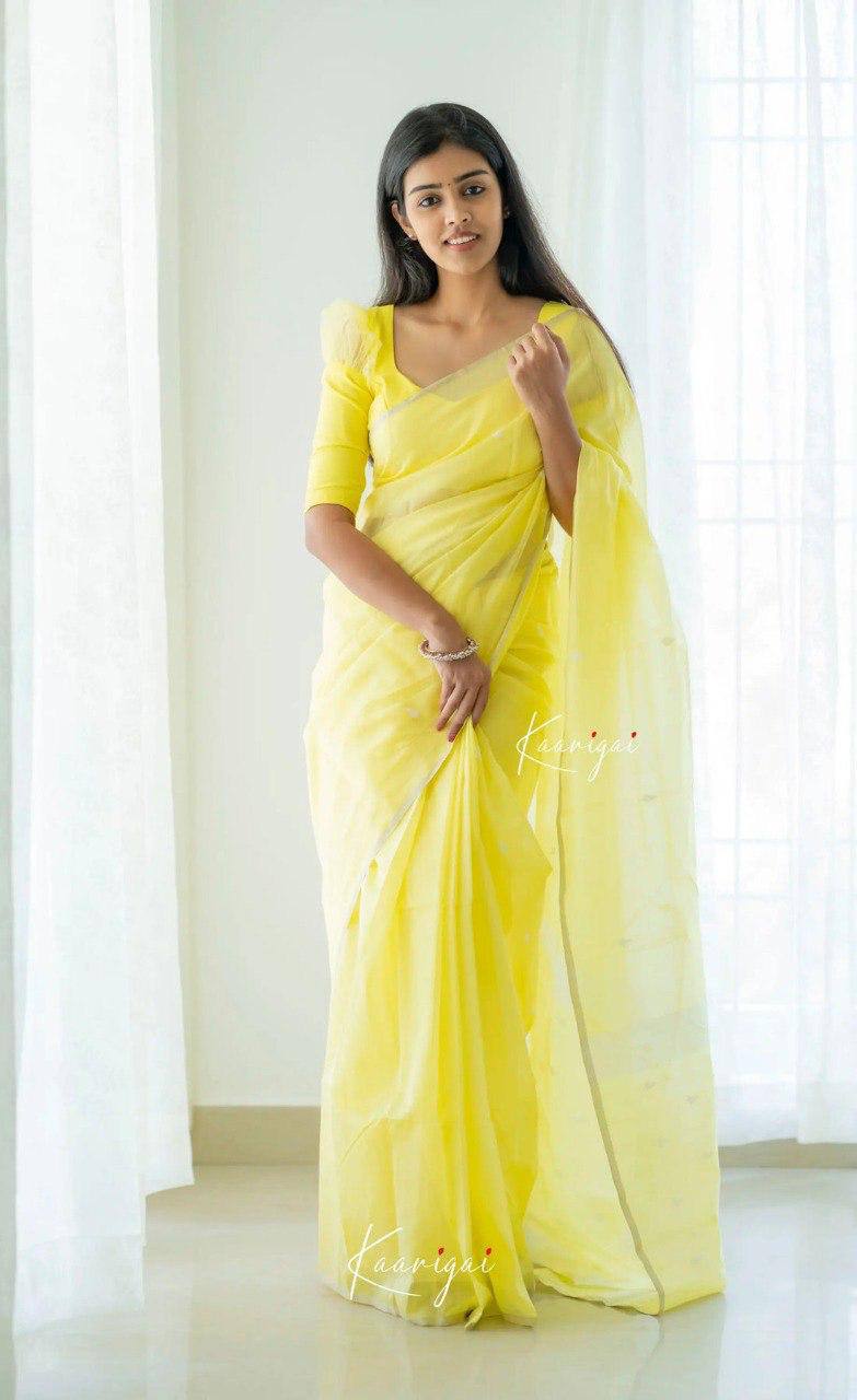 BEAUTFUL SOFT LILAN SLUB SAREE
