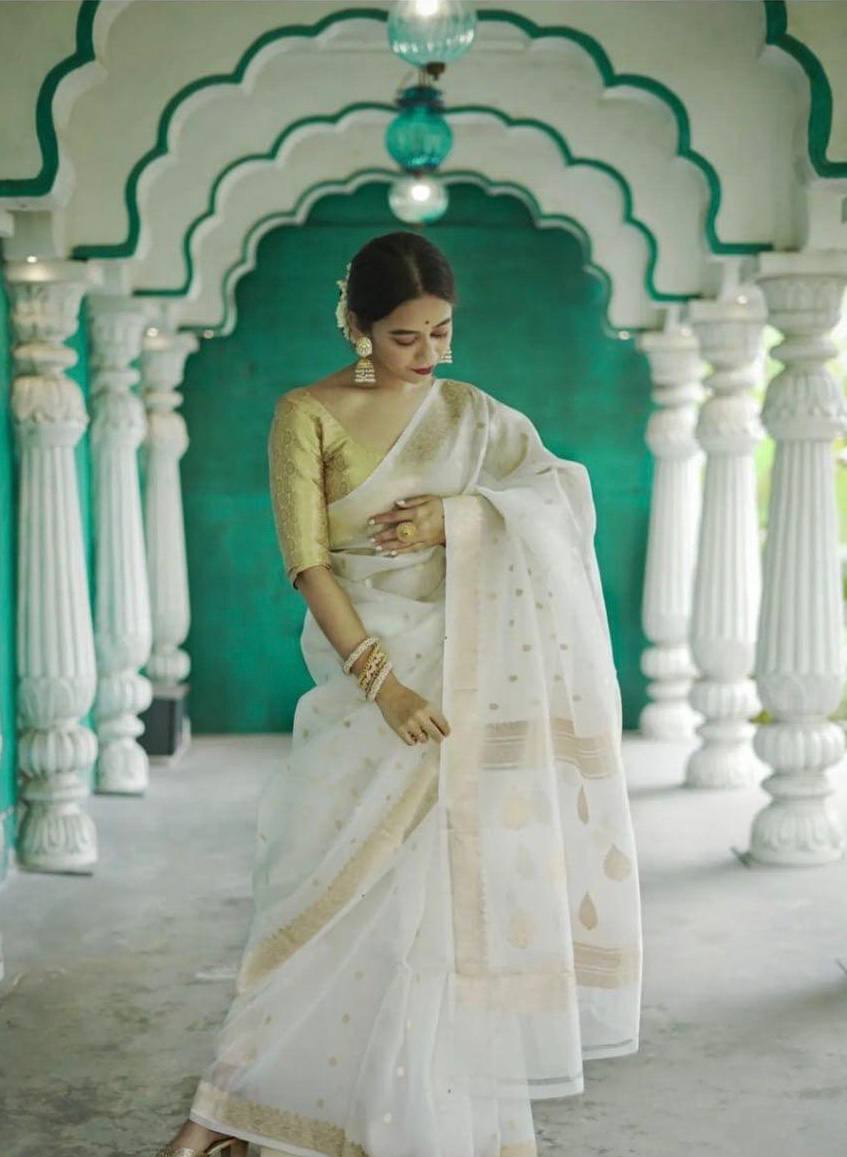 BEAUTIFUL SLUB WEAVING WORK SAREE