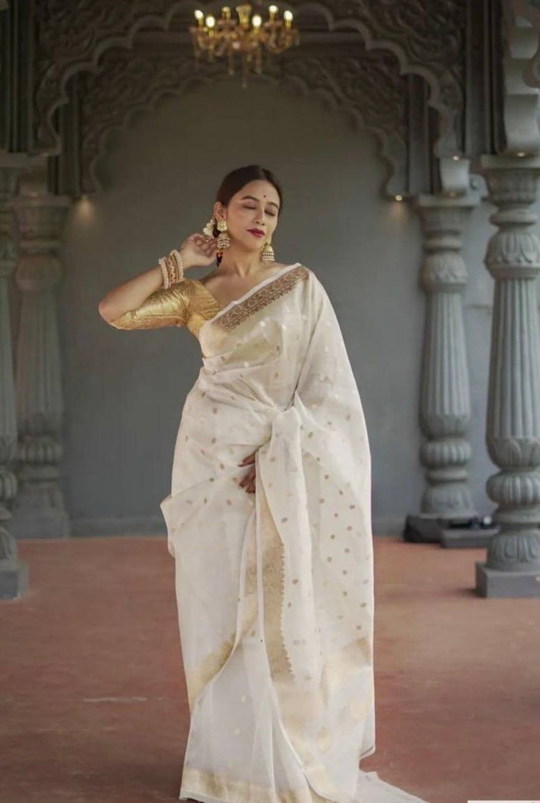 BEAUTIFUL SLUB WEAVING WORK SAREE