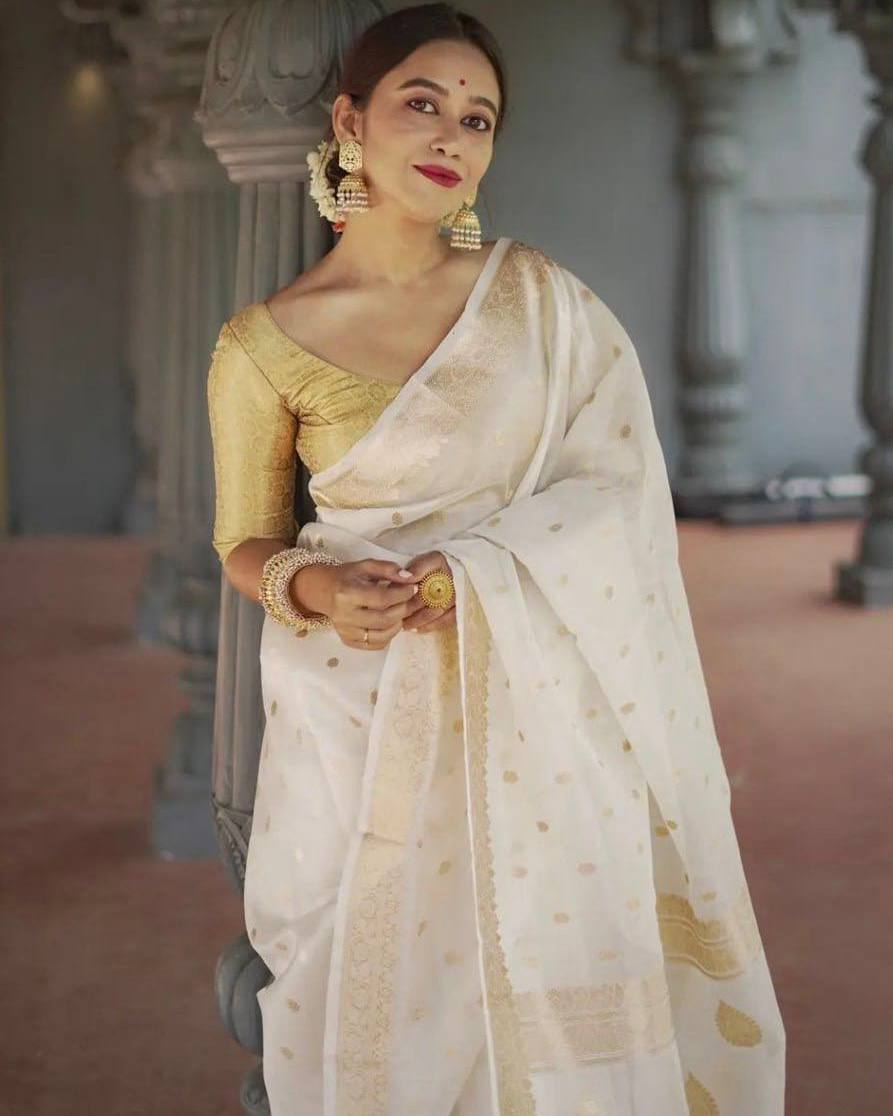 BEAUTIFUL SLUB WEAVING WORK SAREE