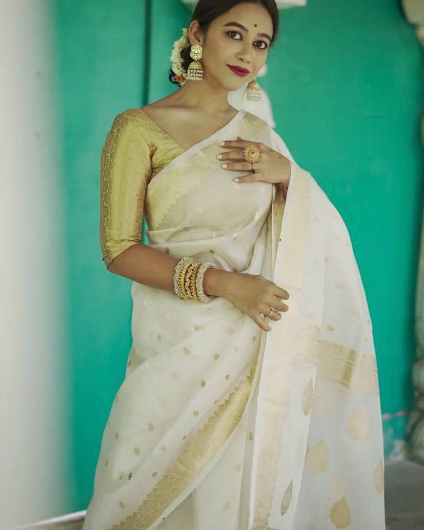 BEAUTIFUL SLUB WEAVING WORK SAREE