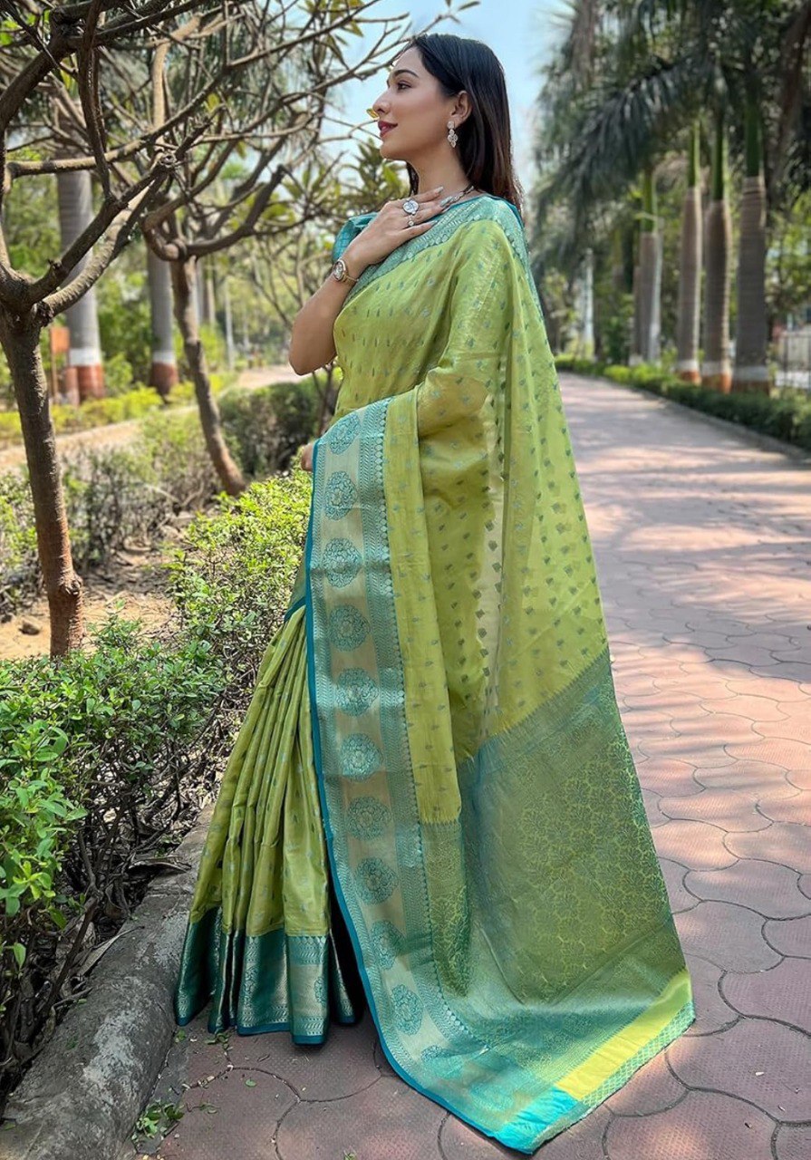 Banarasi Soft Silk Saree  with beautiful Zari work