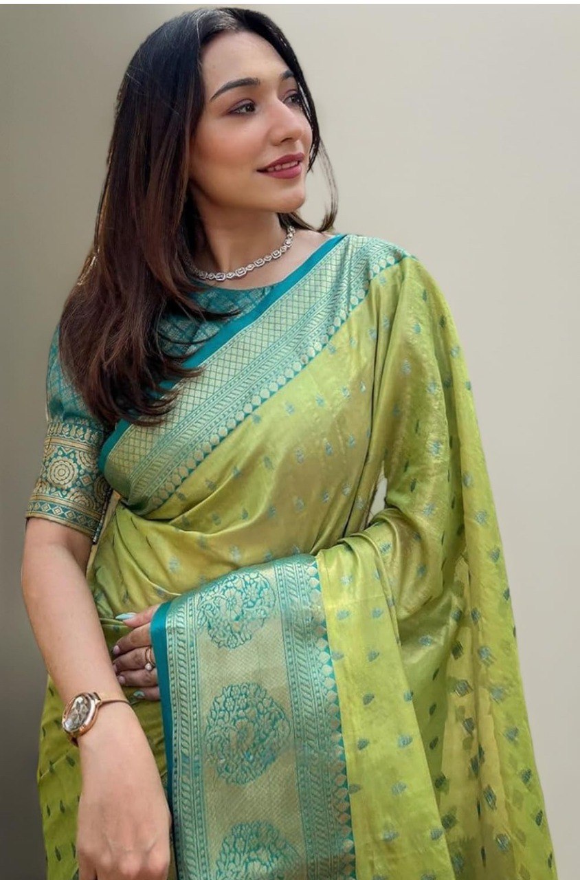 Banarasi Soft Silk Saree  with beautiful Zari work