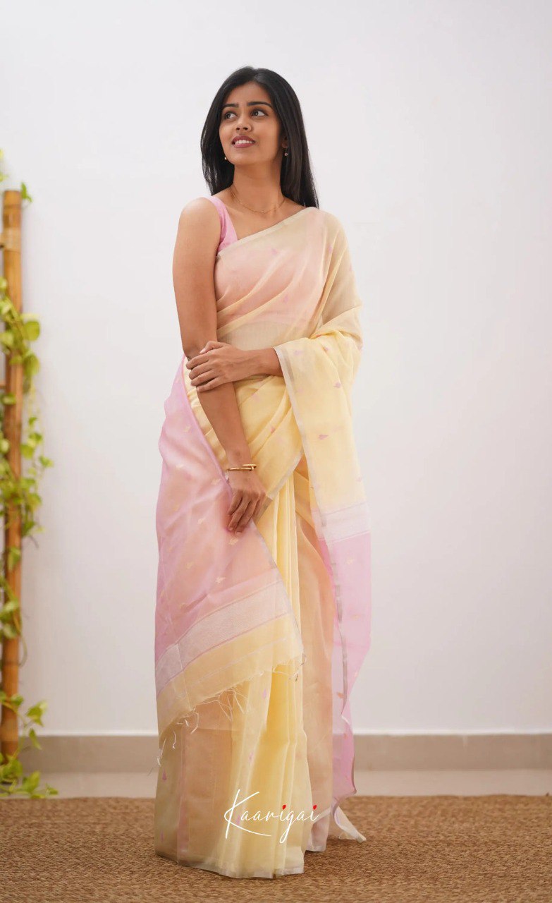 Woman wearing a pastel-colored saree against a white wall.